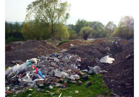 ÎN BATJOCURĂ. Peste 250 de voluntari au muncit în cadrul proiectului "Let's Do It, Bihor" la curăţarea de gunoaie a zonei cuprinse între uzina de apă din Beiuş şi malul Crişului Negru. Degeaba. Acum locul e mai murdar ca înainte...
